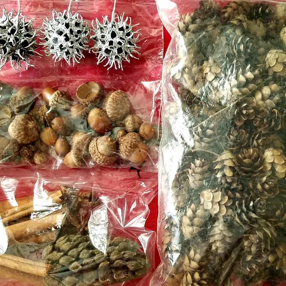 3/$18🌿Forest Fairy🧚‍♀️Crafters Delight!🌿